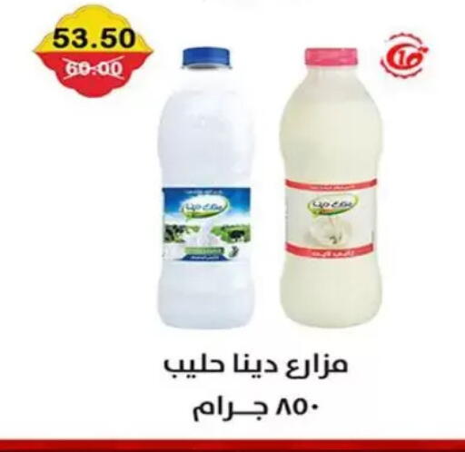 available at سمارت ماركت in Egypt - القاهرة