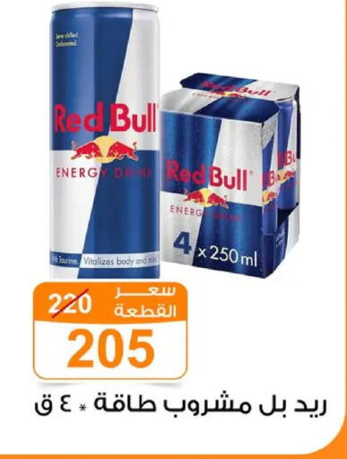 available at Gomla Market in Egypt - Cairo