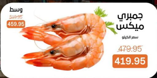 available at بيت الجملة in Egypt - القاهرة