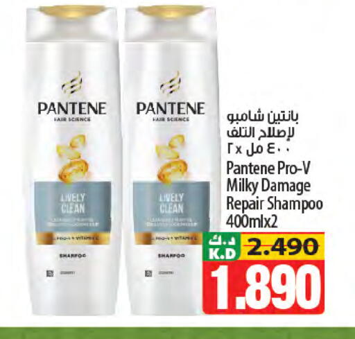 Mango available at مانجو هايبرماركت in الكويت - مدينة الكويت