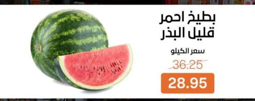 available at بيت الجملة in Egypt - القاهرة