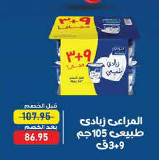 available at Exception Market in Egypt - Cairo