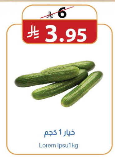 available at متاجر أبياتي in مملكة العربية السعودية, السعودية, سعودية - تبوك