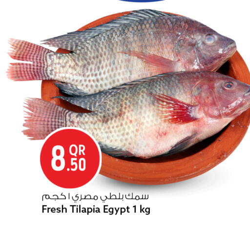 available at سفاري هايبر ماركت in قطر - الوكرة