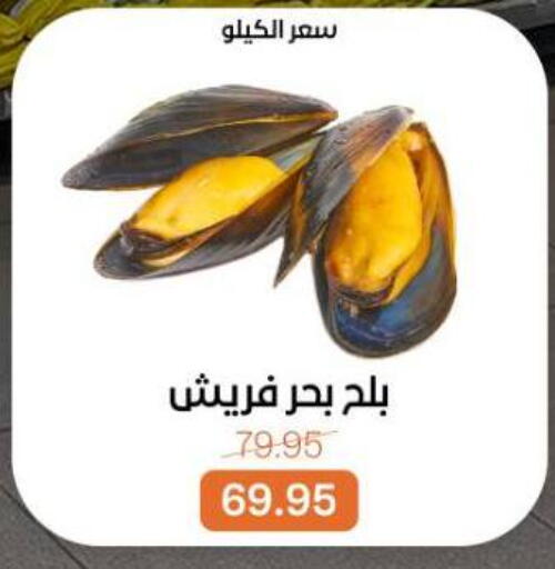 available at بيت الجملة in Egypt - القاهرة