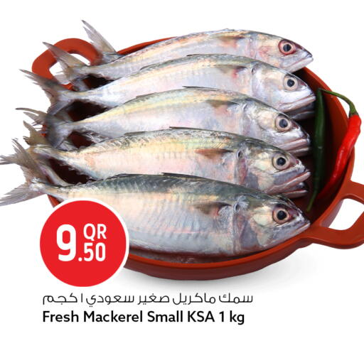 available at سفاري هايبر ماركت in قطر - الوكرة