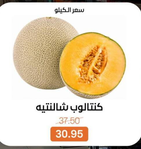 available at Beit El Gomla in Egypt - Cairo