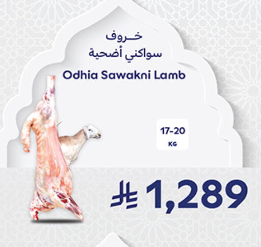 available at كارفور in مملكة العربية السعودية, السعودية, سعودية - جدة