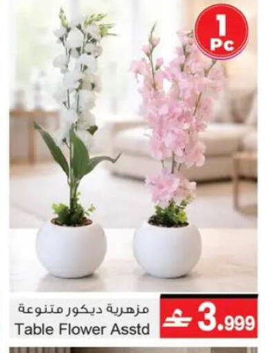 available at A & H in Oman - Muscat