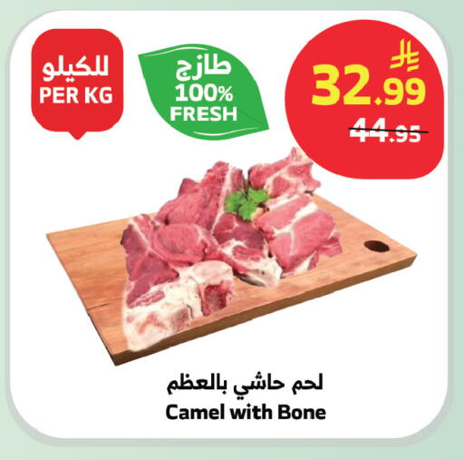 available at الراية in مملكة العربية السعودية, السعودية, سعودية - جدة