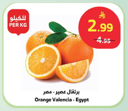 Orange from Egypt available at الراية in مملكة العربية السعودية, السعودية, سعودية - بيشة