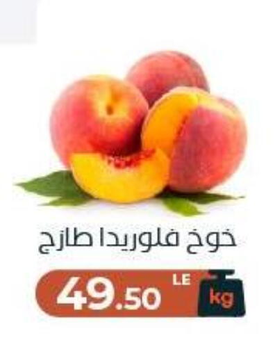 available at عرفة ماركت in Egypt - القاهرة