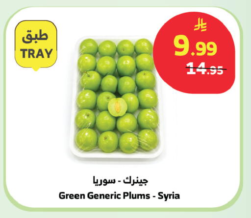 Plums from Syria available at الراية in مملكة العربية السعودية, السعودية, سعودية - بيشة