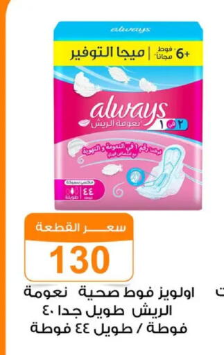 available at Gomla Market in Egypt - Cairo