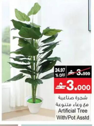 available at A & H in Oman - Muscat