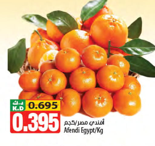 Mango from Egypt available at مانجو هايبرماركت in الكويت - مدينة الكويت