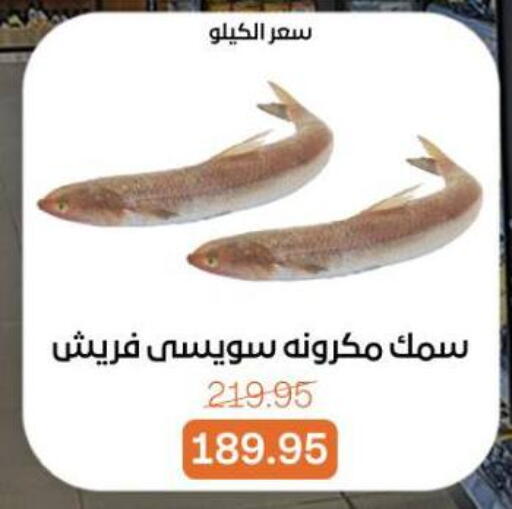 available at Beit El Gomla in Egypt - Cairo