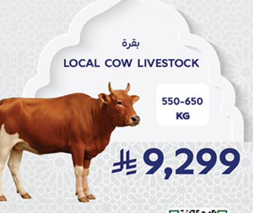 available at كارفور in مملكة العربية السعودية, السعودية, سعودية - جدة
