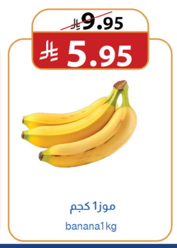 available at متاجر أبياتي in مملكة العربية السعودية, السعودية, سعودية - المدينة المنورة
