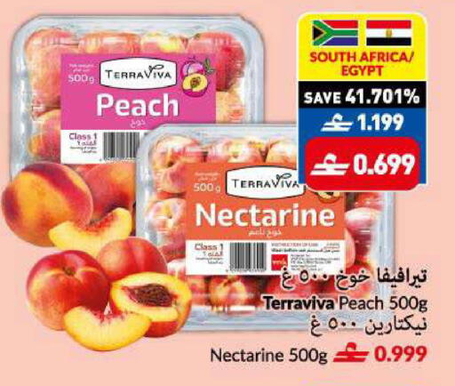 Peach Nectarine from South Africa Egypt available at VIVA Supermarket in Oman - Muscat