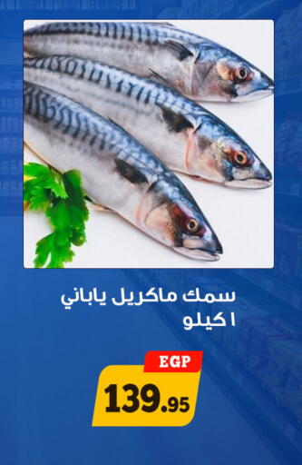 available at أولاد رجب in Egypt - القاهرة