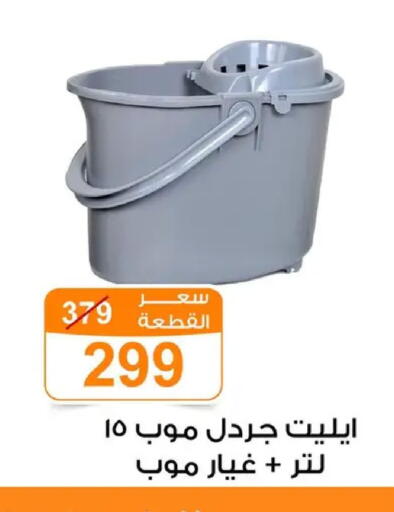 available at Gomla Market in Egypt - Cairo