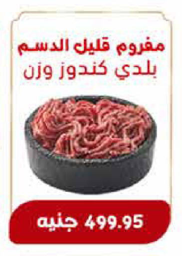 available at اكسبشن ماركت in Egypt - القاهرة