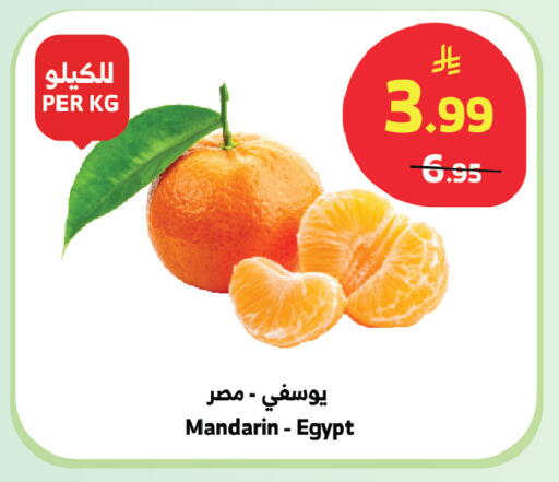 Mandarin from Egypt available at الراية in مملكة العربية السعودية, السعودية, سعودية - بيشة
