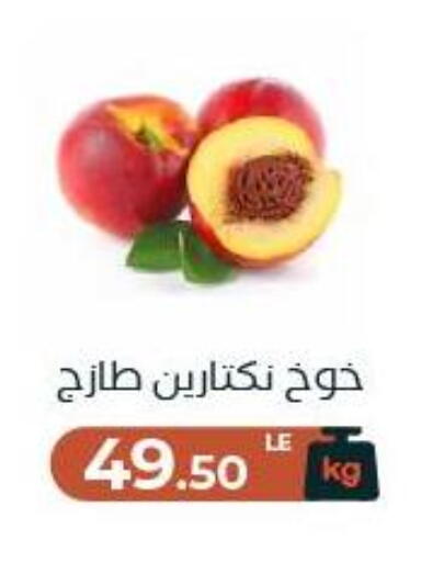 available at عرفة ماركت in Egypt - القاهرة