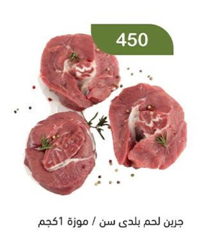 available at Green Hypermarket in Egypt - Cairo