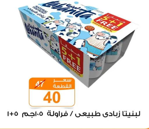 available at Gomla Market in Egypt - Cairo