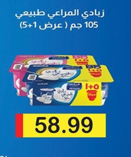 available at Green Hypermarket in Egypt - Cairo