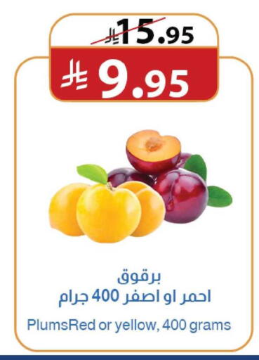 available at متاجر أبياتي in مملكة العربية السعودية, السعودية, سعودية - تبوك