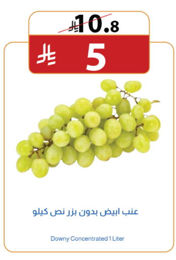 available at متاجر أبياتي in مملكة العربية السعودية, السعودية, سعودية - المدينة المنورة