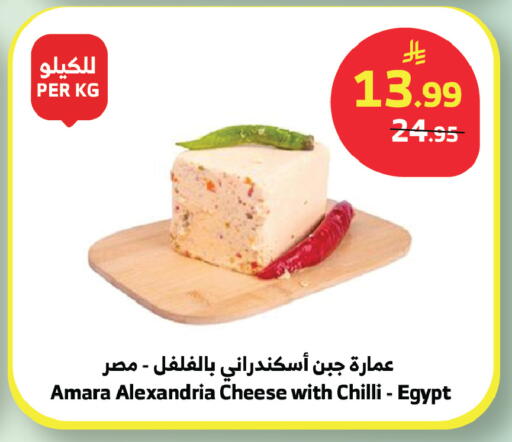 Chilli available at الراية in مملكة العربية السعودية, السعودية, سعودية - بيشة