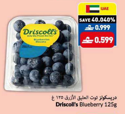 Blueberry BlueBerry available at VIVA Supermarket in Oman - Muscat