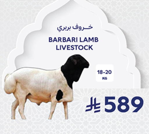 available at كارفور in مملكة العربية السعودية, السعودية, سعودية - جدة