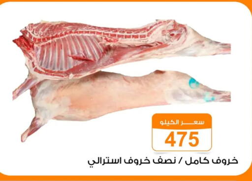 available at Gomla Market in Egypt - Cairo