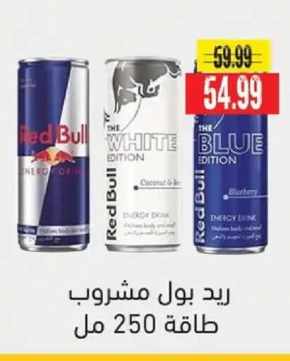 Coconut Blueberry BlueBerry available at AlSultan Hypermarket in Egypt - Cairo