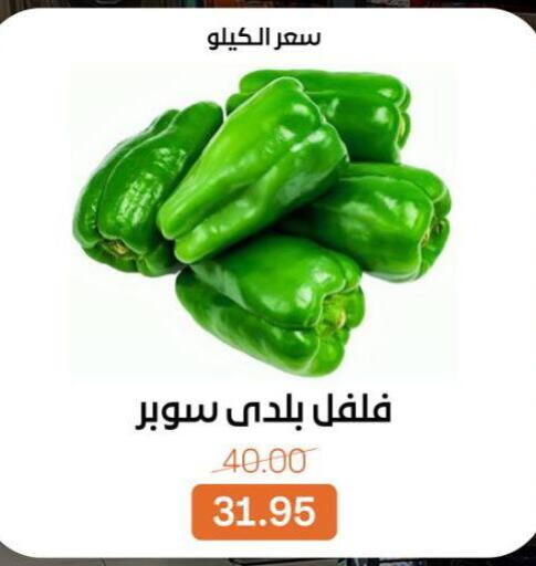 available at Beit El Gomla in Egypt - Cairo