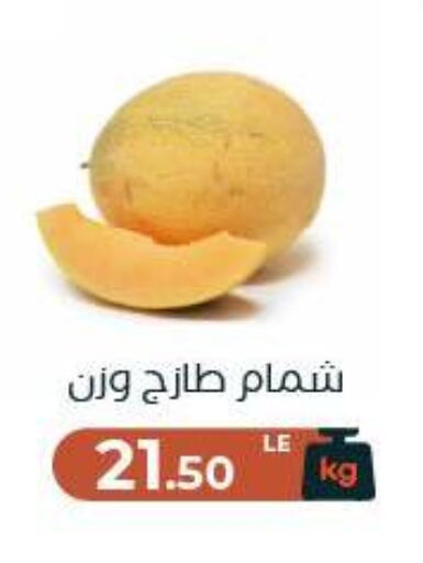 available at عرفة ماركت in Egypt - القاهرة