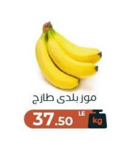 available at عرفة ماركت in Egypt - القاهرة