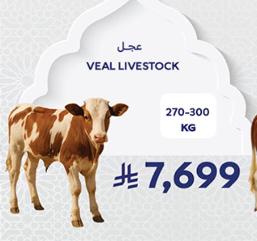 available at كارفور in مملكة العربية السعودية, السعودية, سعودية - جدة