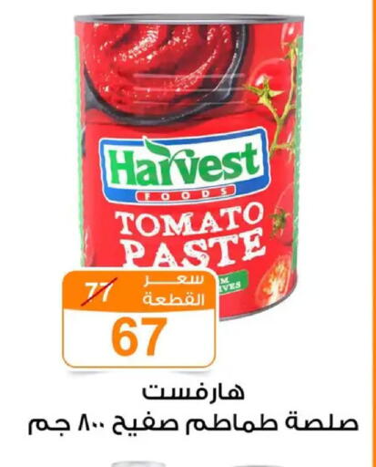 Tomato available at Gomla Market in Egypt - Cairo
