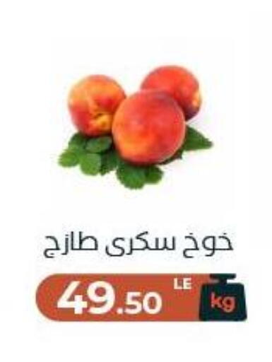 available at عرفة ماركت in Egypt - القاهرة