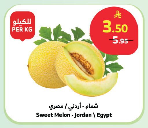 Melon from Jordan Egypt available at الراية in مملكة العربية السعودية, السعودية, سعودية - بيشة