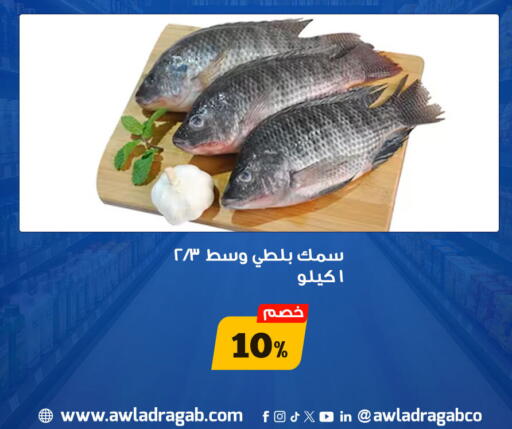 available at أولاد رجب in Egypt - القاهرة