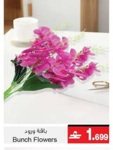 available at A & H in Oman - Muscat