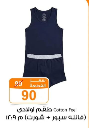 available at Gomla Market in Egypt - Cairo