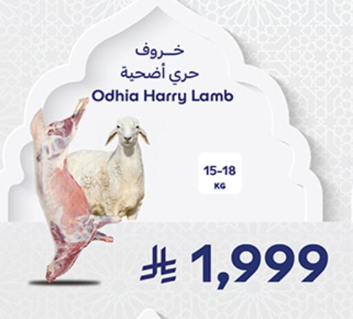 available at كارفور in مملكة العربية السعودية, السعودية, سعودية - جدة